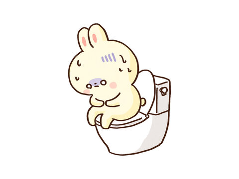 Rabbit straining on the toilet with stomach pain, diarrhea or constipation concept