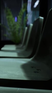 Rows of empty seats are visible in a dim space. Plants are arranged nearby, and there is soft lighting that adds to the atmosphere of the location.