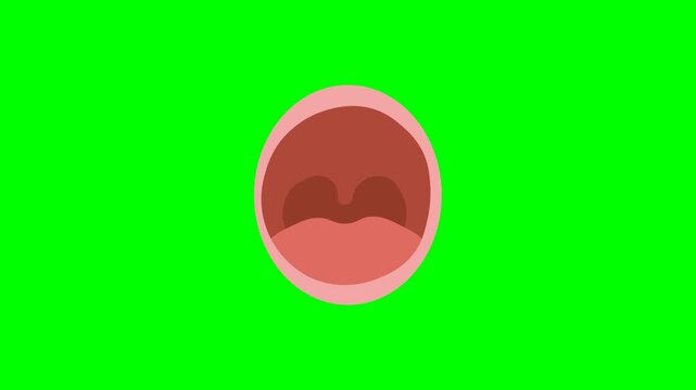 Anatomy of the human mouth and open throat 2D animation