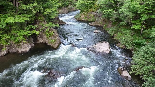 Rushing water flows over jagged rocks. Deep green trees frame both riverbanks. Frothy waves crash against stone formations. Vibrant forest surrounds the rushing stream