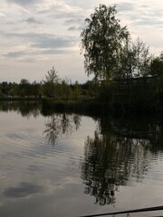 Fototapeta premium reflection in water
