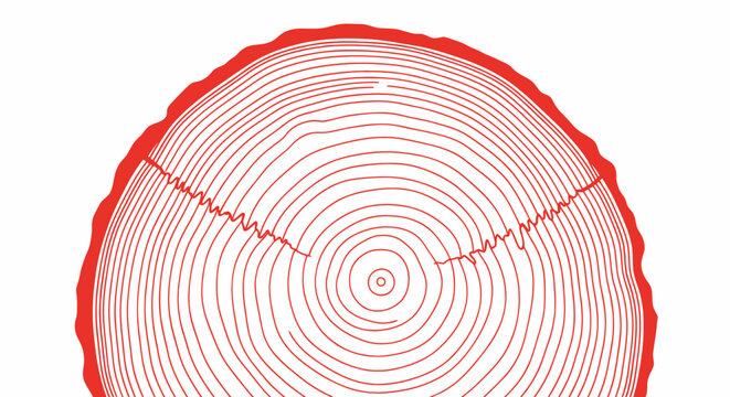 tree stump cross section