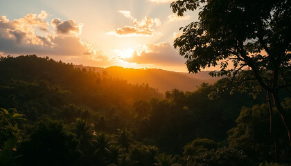 Obraz premium Sunset over jungle hills with golden warm light