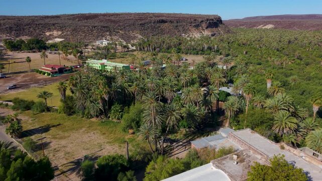 Aerial views show the Mission Church and surrounding oasis town of San Ignacio in Baja California Mexico.