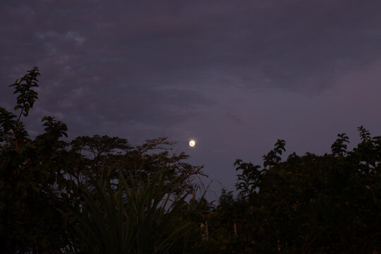 lua no crep&uacute;sculo