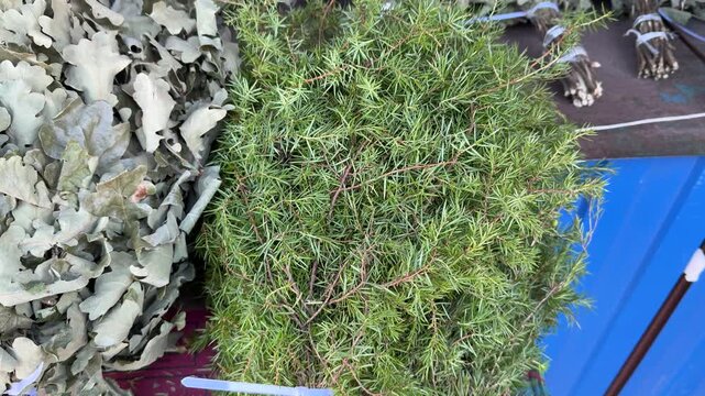 Heather broom bundle on market stall, green heather tied with twine, ready for steaming bath rituals, displayed with rustic wicker