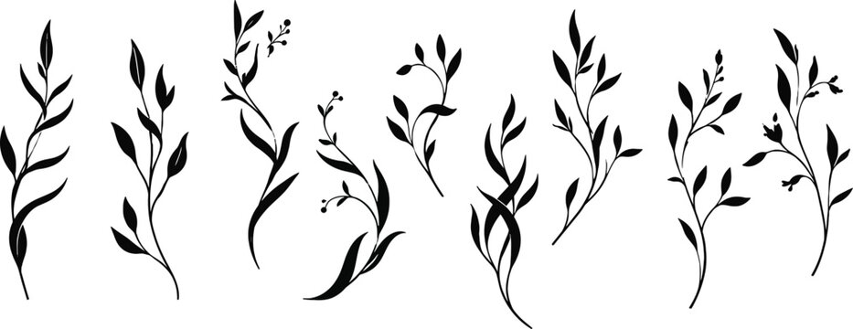 Minimalist Leaf Branch SVG Bundle | Botanical Twig Vector Icons. Elegant Laurel Stem Clipart | Wedding Greenery Silhouette Set