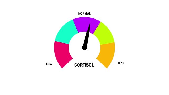 Semicircular gauge with bright colored sections for low normal and cortisol levels featuring a black needle indicating a normal range on a white background, symbolizing health and stress monitoring