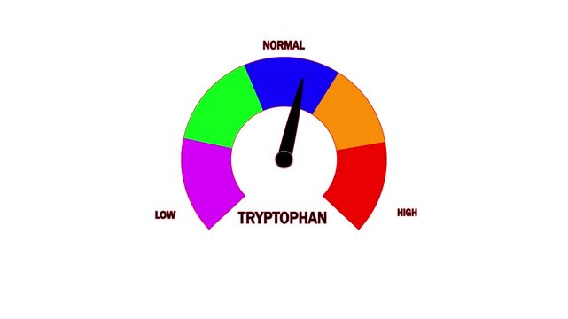 Semicircular dial with diverse color segments for low normal and tryptophan levels and a black needle pointing to the normal range on a white background, illustrating biochemical balance