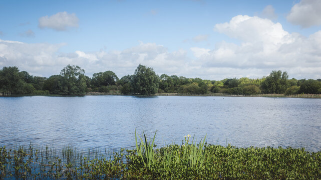 Tranquil Wetland Reflections at Arcot Pond in Cramlington&rsquo;s Nature Reserve Landscape, Northumberland, May 2026