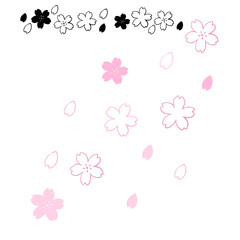 Obraz premium 手描きの桜の罫線と舞い散る桜のイラスト