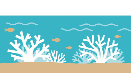 Bleached White Coral Visible Through Clear Warm Ocean Water © Bima