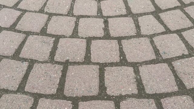 Top view cobblestone paving in park, cinematic texture and neutral gray tones, moss filled grout highlighting curved pattern