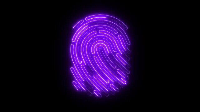 Neon purple fingerprint scan animation, digital biometric security concept, cyber security and identity verification technology motion