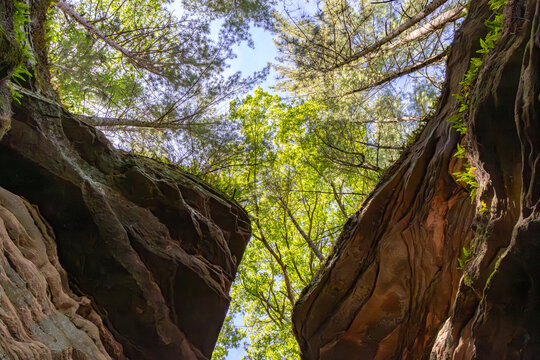 Sandstone Canyon Walls and Forest Canopy at Witches Gulch in Wisconsin Dells