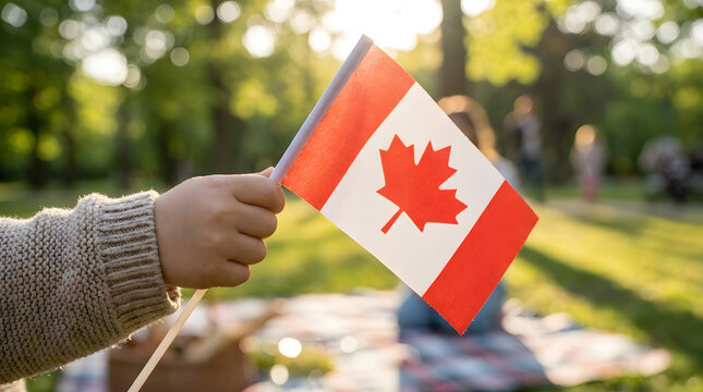 Canada flag child celebrating national pride during outdoor summer park picnic