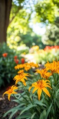 Obraz premium Vibrant cluster of yellow lilies in a garden setting.