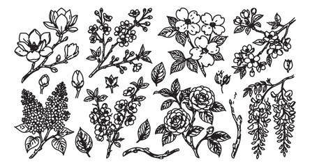 Fototapeta premium Vintage botanical sketches of spring flowers, hand drawn floral line art vector set, black and white garden blossoms for wedding invitations
