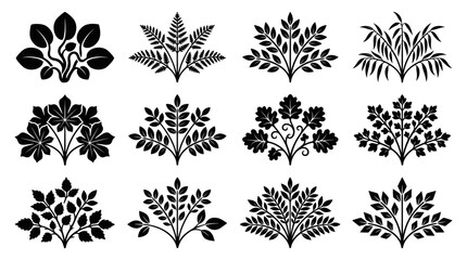 Collection of black botanical plant and fern silhouettes. © Betatas