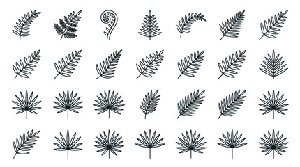 Black silhouette set of tropical palm and fern leaves. © Satria