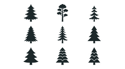 Obraz premium Black silhouettes of different evergreen conifer trees.
