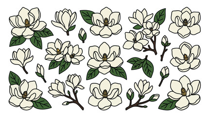 Creamy white magnolia blossoms and green leaves floral set. © Satria
