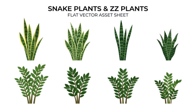 Flat vector asset sheet of snake plants and zz plants.