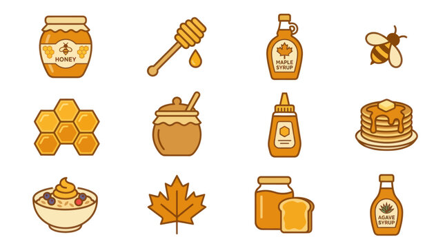 Maple syrup and bee honey product illustration collection.