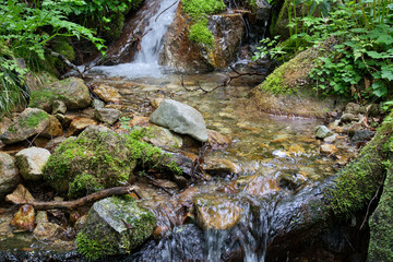 waterfall in the forest © gorogoroYusuke