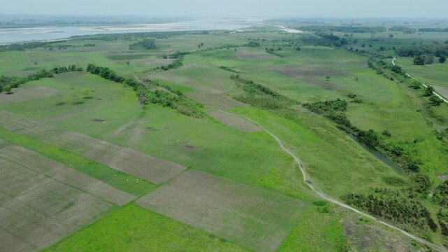 Drone view shot of asian largest river island majuli Island.