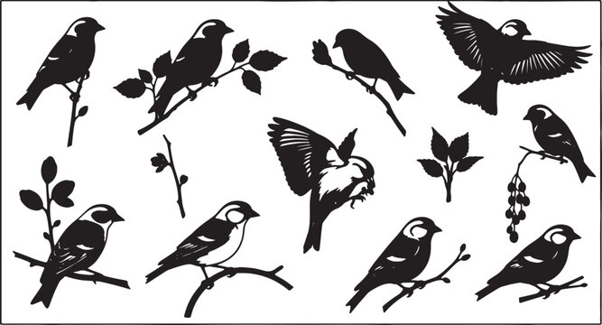 Black silhouette collection of small songbirds, sparrows, and tits perching on tree branches and in flight, including leafy twigs and berries, isolated on a white background.