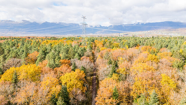 Aerial view of autumn forest with vibrant yellow and orange foliage, a high-voltage power line tower, and the Jura mountains under a cloudy sky in La Rippe, Vaud, Switzerland.