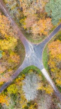 Aerial view of a forest crossroads forming an X shape surrounded by vibrant autumn foliage in La Rippe, Vaud, Switzerland.