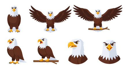 Naklejka premium Bald Eagle Bird Animal.