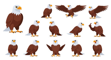 Naklejka premium American Bald Eagle Birds.