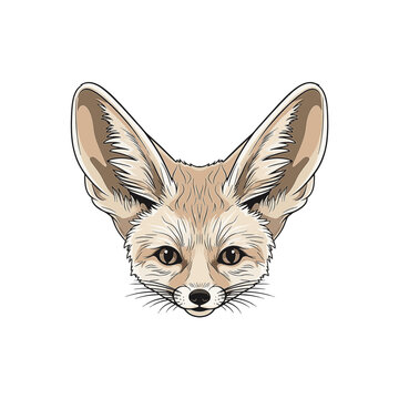 Detailed vector illustration of a fennec fox head portrait featuring oversized ears and large eyes. Front view of a desert fox isolated on a white background with cream and tan fur.
