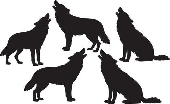 Howling wolf silhouettes set in various poses for wilderness nature or forest wildlife animal design.
