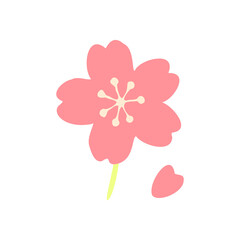 Fototapeta premium Cute Soft Pink Sakura Blossom Flower Vector Illustration, Kawaii Japanese Cherry Botanical Ornament Graphic Element