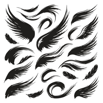 Detailed ink brush wing elements and feathers collection with feathers, abstract
