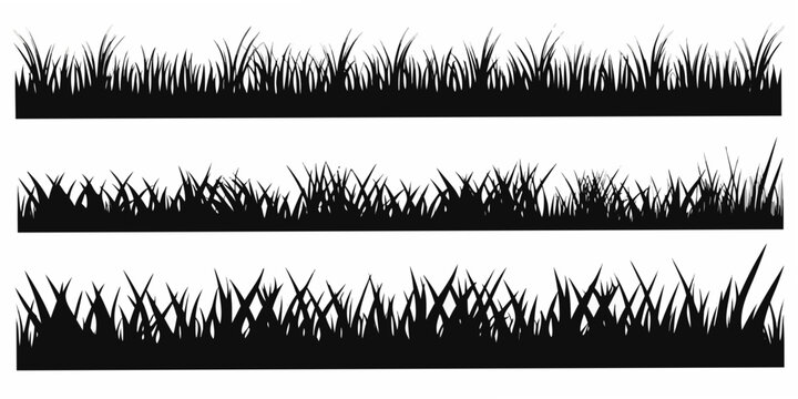 Grass Blade Silhouettes On White Background Three Variations