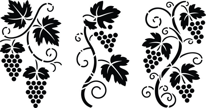 Elegant black silhouette vector illustration of decorative grapevine motifs with curling vines, leaves, and grape clusters
