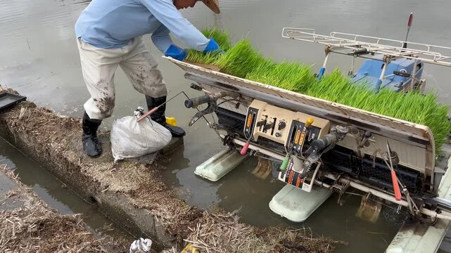 田植え機に苗をセットする高齢者