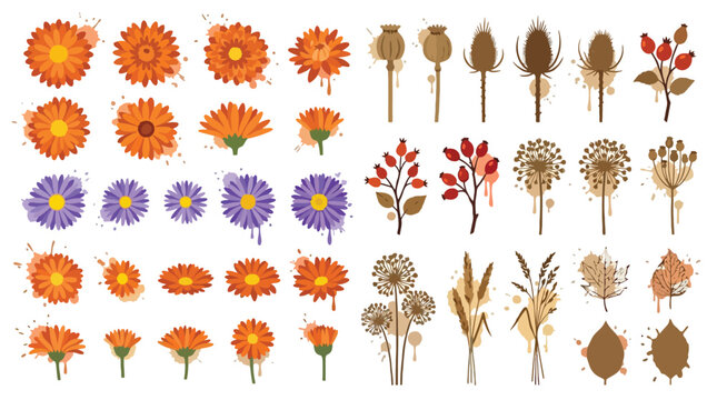Vector flower collection with botanical elements and blossoms.