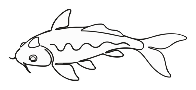 Koi fish side view minimalist line art vector illust.... Generative AI