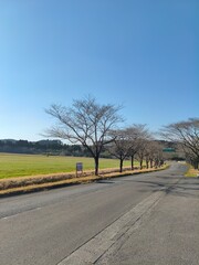 Fototapeta premium road in the countryside