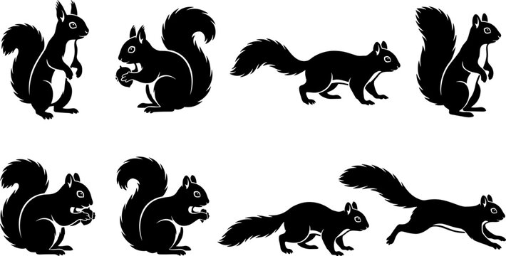 Squirrel silhouettes illustration featuring multiple poses including standing, sitting, running, and leaping symbolizing wildlife, nature, lifestyle, creativity, and design concepts