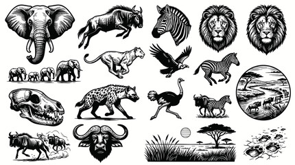 Obraz premium Black and White African Safari Animals Line Art Vector Collection