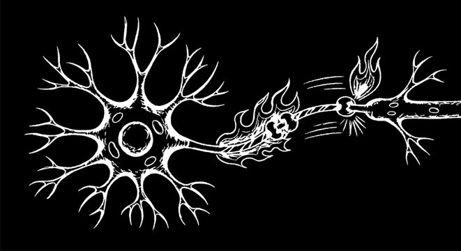 Detailed neuron cell illustration with fiery synaptic activity.