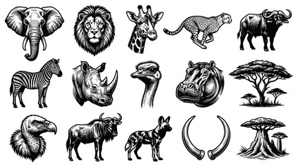 Obraz premium African Safari Animals Vector Set - Black and White Line Art Collection