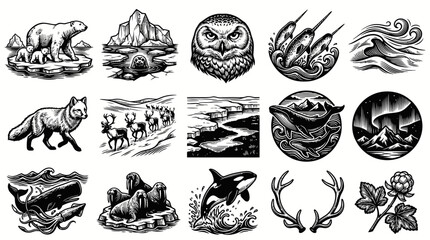 Obraz premium Arctic Animals and Nature Black and White Line Art Vector Icons Set